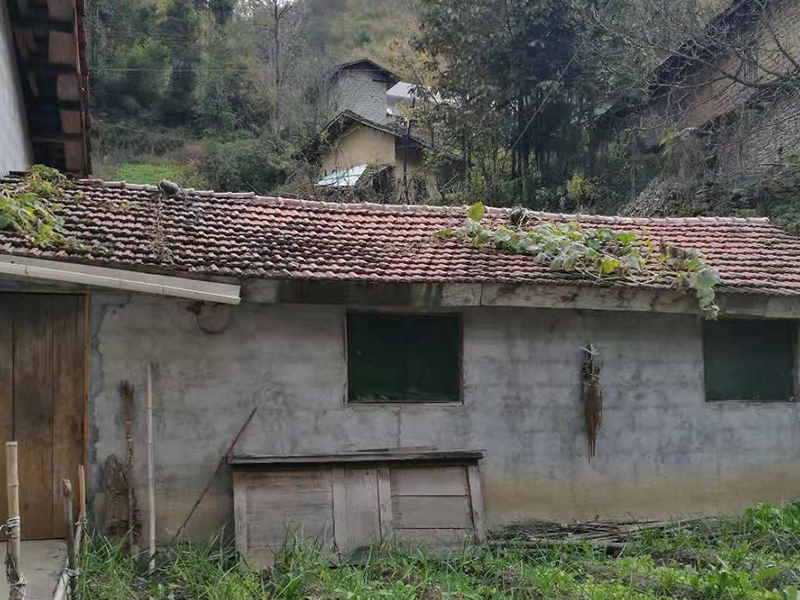 QQ图片20181101135226